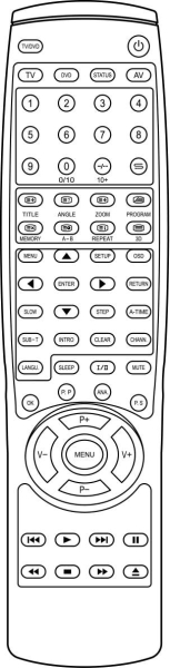 Replacement remote control for Irradio DVX103